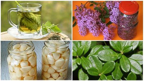 Народные способы очистки организма от мочевой кислоты