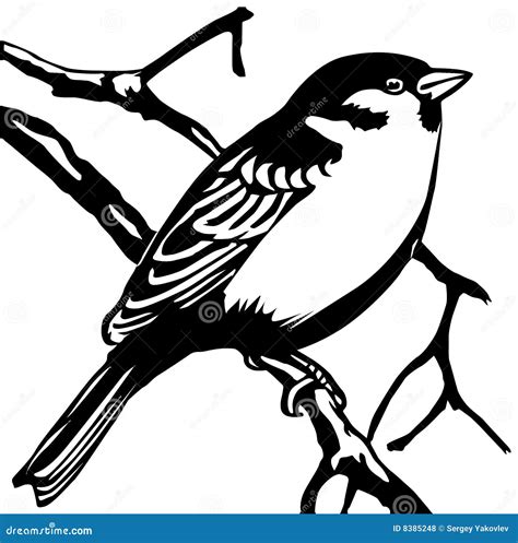 Vector Silhouette Sparrow Stock Vector Illustration Of Clip