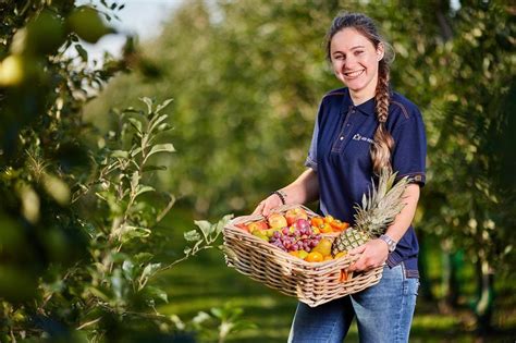 Werkfruit Door Heel Nederland Vers Fruit Voor Jouw Bedrijf Van