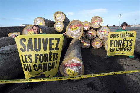 Environnement 500 000 hectares des forêts perdus chaque année en RDC