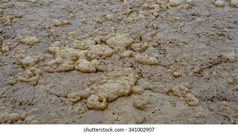 456 Slurry tank Images, Stock Photos & Vectors | Shutterstock