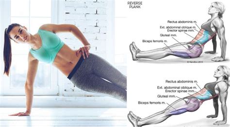 Make Your Planks More Effective And Gain An Amazingly Shaped Set Of Abs With 3 Simple Tweaks