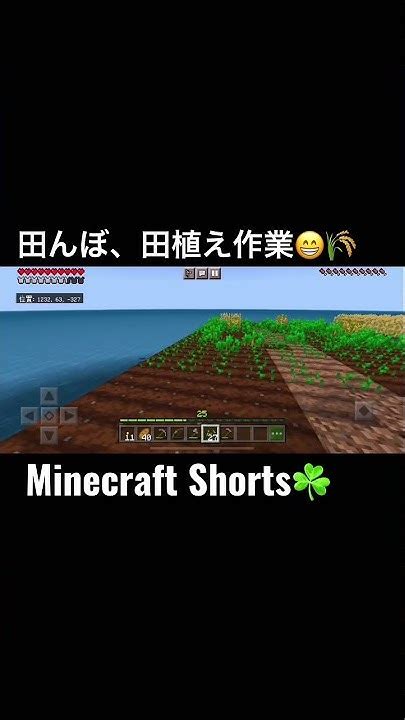 Minecraftshorts！minecraft田んぼ、田植え作業😁🌾マイクラshorts Youtube