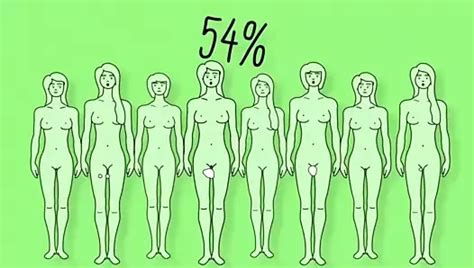 Education Porn Videos XHamster