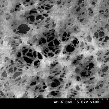 Figure S Pvdf Membrane Characterization A Top Surface Pvdf