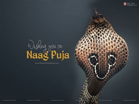 Nag Panchami SMS Naga Panchami HD Wallpaper Pxfuel