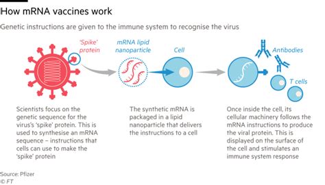 Crazy Cat Lady's Blog: mRNA Vaccines