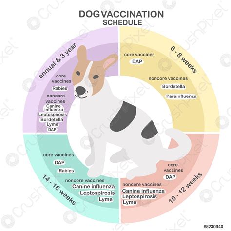 dog vaccine for wild animal urine 12