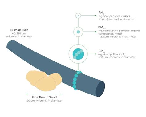 Particulate Matter Monitoring Know About Pm25 Oizom