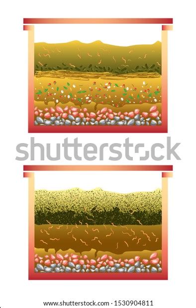 Vermicompost Vermiculture Process Two Stages Vector Stock Vector (Royalty Free) 1530904811 ...