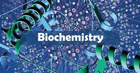 TUF Blog Blog Of TUF What Is A BS In Biochemistry Complete Guide