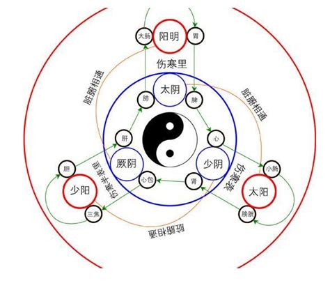 讨论十二地支（十二消息卦）对应十二经络的可能情况 知乎