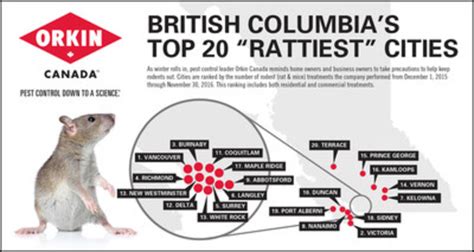 Vancouver Beats Victoria For Bcs Rattiest City