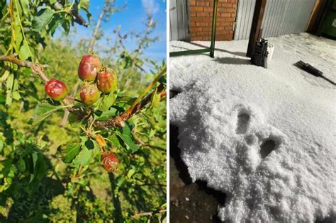 6000 zł do hektara więcej rolników otrzyma pomoc