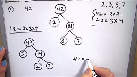 263 Prime Factorization