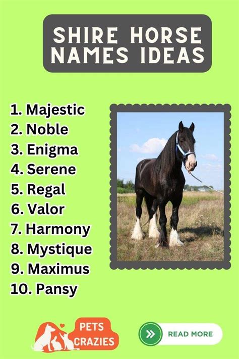 350+ Shire Horse Names (Unleash Your Horse's Personality)