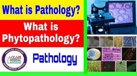 What is Pathology? | What is Phytopathology | Pathology | - YouTube