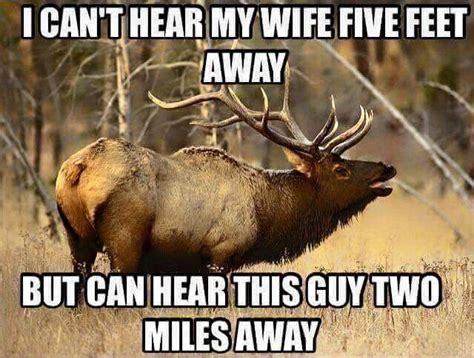 Funny Moose Hunting Quotes - ShortQuotes.cc