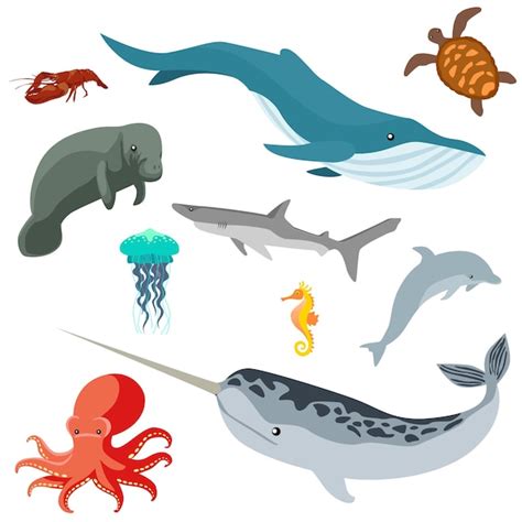 Premium Vector Sea Creatures Isolated On White Background