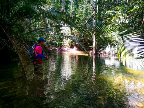 Memahami Asas Pancingan Aliran Jeram Atau Stream Fishing