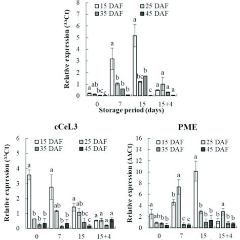 Quantitative real-time polymerase chain reaction (RT-qPCR) analysis of ... 