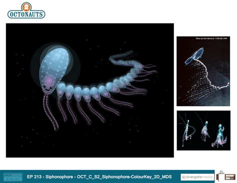 The Octonauts & the Siphonophore #ScriptToScreen - Brown Bag Labs