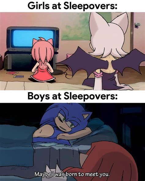 Pin By Ana Xxtreme On Sonic Funny Hedgehog Sonic Funny Sonic Heroes