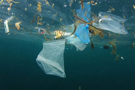 La solución para el problema de la contaminación plástica es un tratado