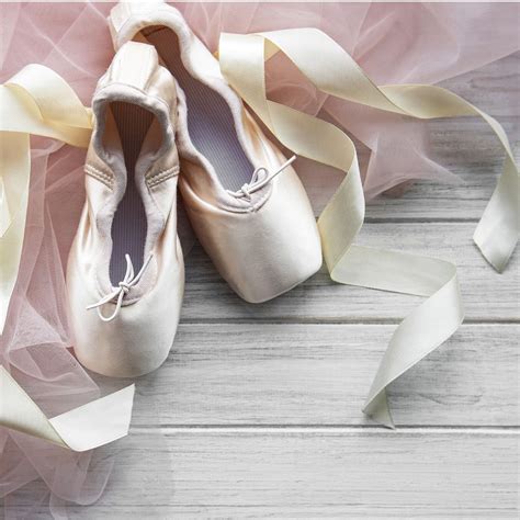 The Ballet Dance: Social Factors and Training Methods — Doty ...