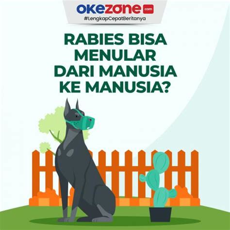 Benarkah Rabies Bisa Ditularkan Dari Manusia Ke Manusia 0 Foto