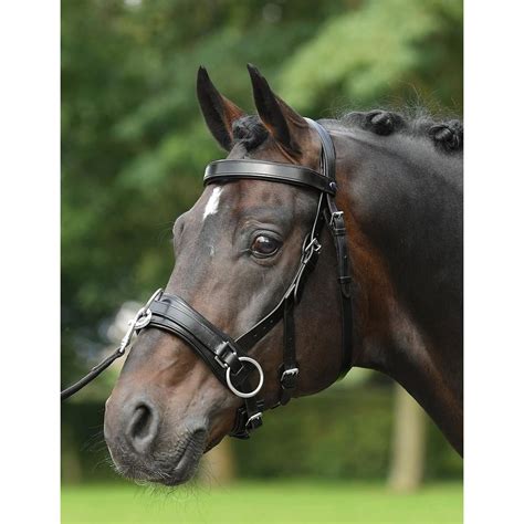 Busse Cavesson Fit Pro Equusvitalis Onlineshop