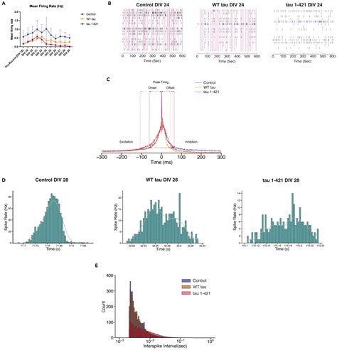 Activity Dependent Tau Cleavage By Caspase Promotes Neuronal