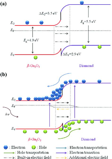 Schematic Energy Band Diagrams Of The Diamondb Ga 2 O 3 Download