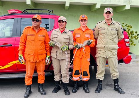 Corpo de Bombeiros resgata duas iguanas em Canindé