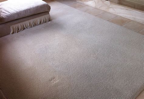 Heavens Best Carpet Cleaning Dry In 1 Hour