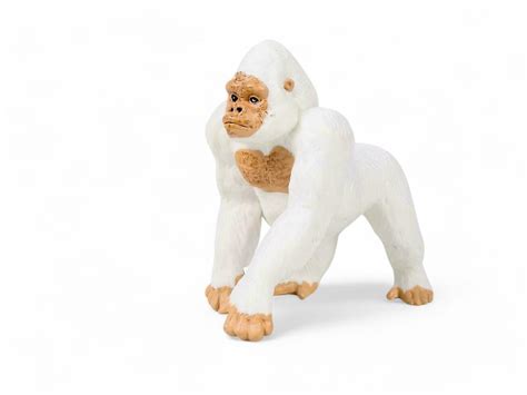 White Gorilla Stock Photos, Images and Backgrounds for Free Download