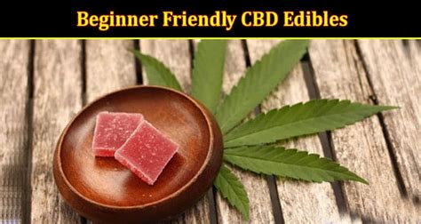 Beginner Friendly CBD Edibles Gummies Vs Oil Which One To Choose From