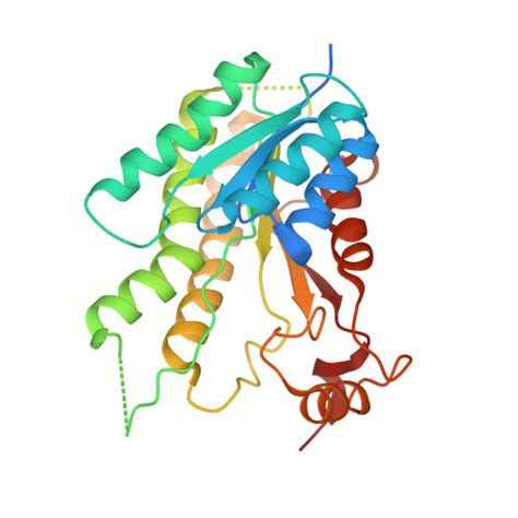 Rcsb Pdb Jqb Crystal Structure Of Pteridine Reductase Ptr From