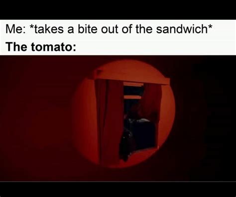 Sandwich Meme Meme By Dexterwinter Memedroid