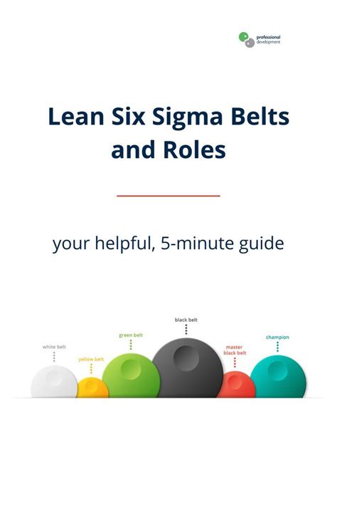 Lean Six Sigma Belts And Roles Your Helpful 5 Minute Guide Artofit