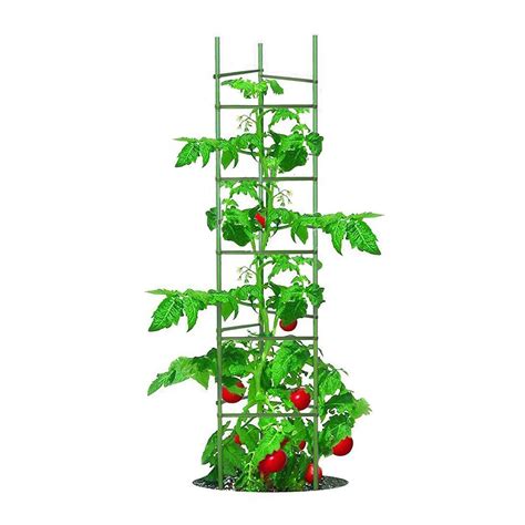 Growsun Tomato Cage For Garden Upto 73 Inch 6 PackTall Tomato Trellis