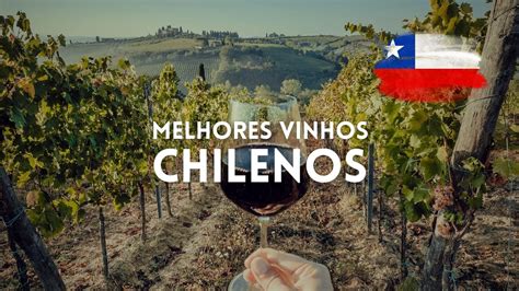 Descubra os 7 Melhores Vinhos Chilenos que Você Precisa Provar