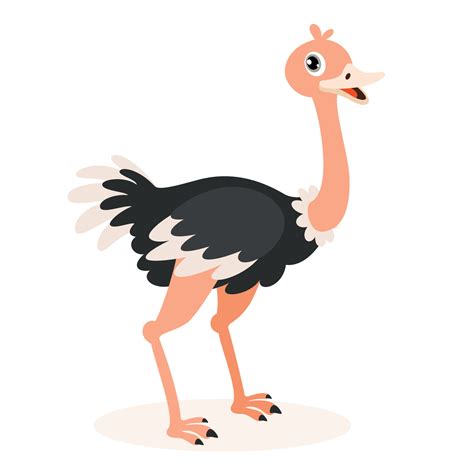 Cartoon Drawing Of An Ostrich 13536932 Vector Art At Vecteezy