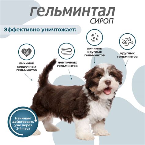 Сироп для щенков и собак Гельминтал до 10кг от внутренних паразитов ...