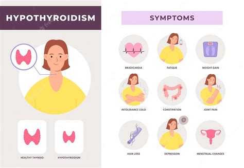 Infographie Des Symptômes De La Maladie De Lhypothyroïdie Avec Personnage De Femme Glande