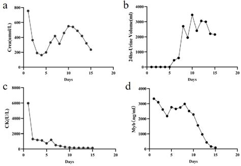 Dynamic Changes Of Serum Creatinine A H Urine Volume B Creatine