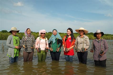 The Female Conservationists Rewilding Cambodias Mangroves Positive News