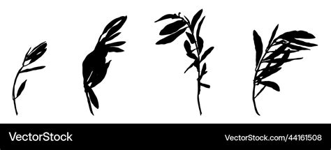 Olive branch isolated element Royalty Free Vector Image