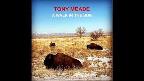 Tony Meade A Walk In The Sun Official Audio Youtube