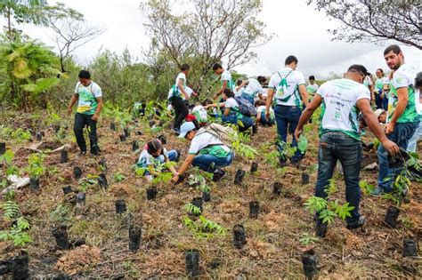 Projeto Leva Educa O Ambiental Para Crian As De Escolas Municipais